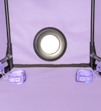 Secret Dome Bukkake Bondage Box Purple PRE-ORDER