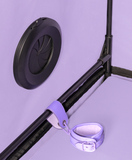 Secret Dome Scandale Giant Bondage Box Purple PRE-ORDER